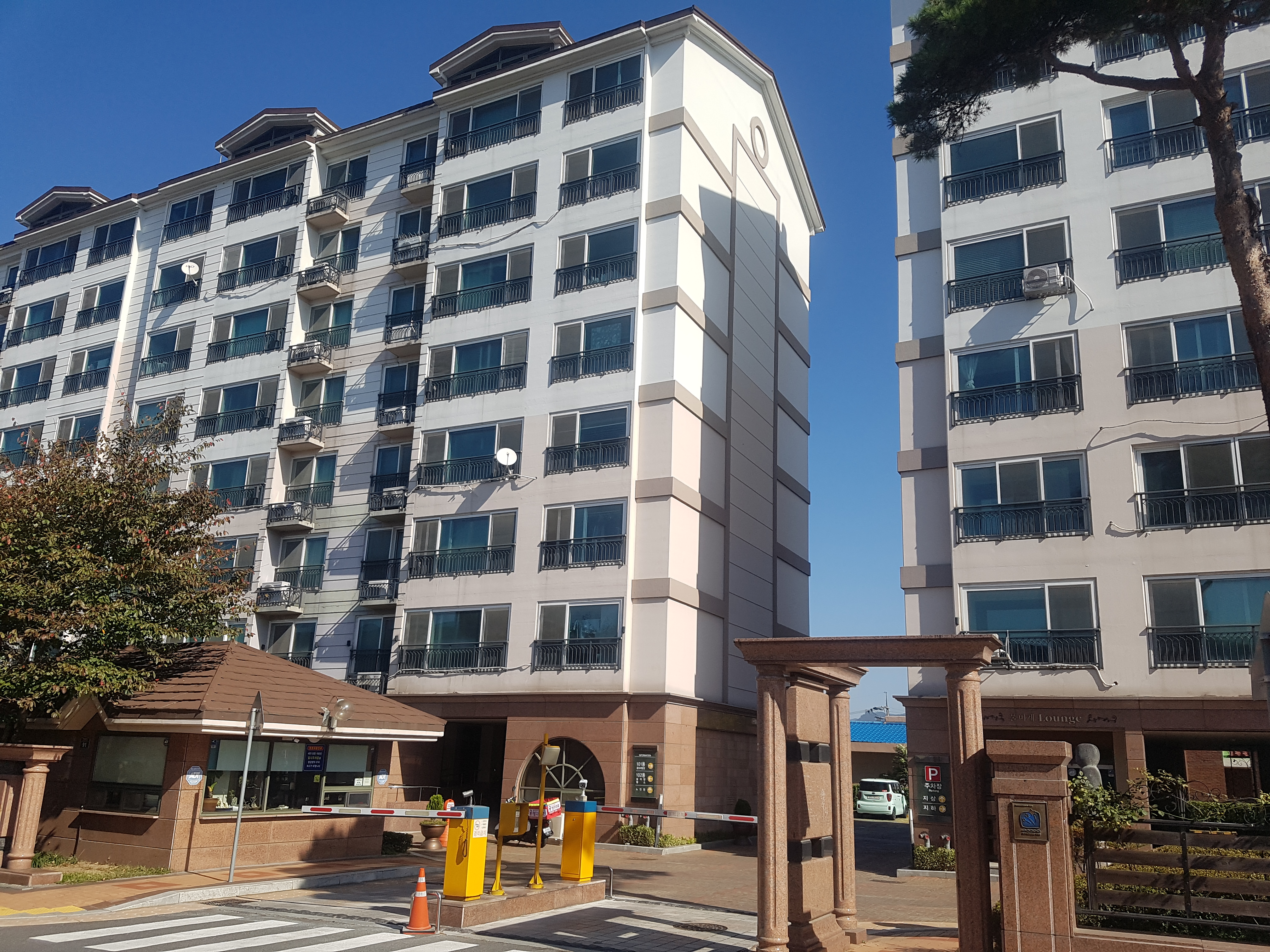 �����̹���