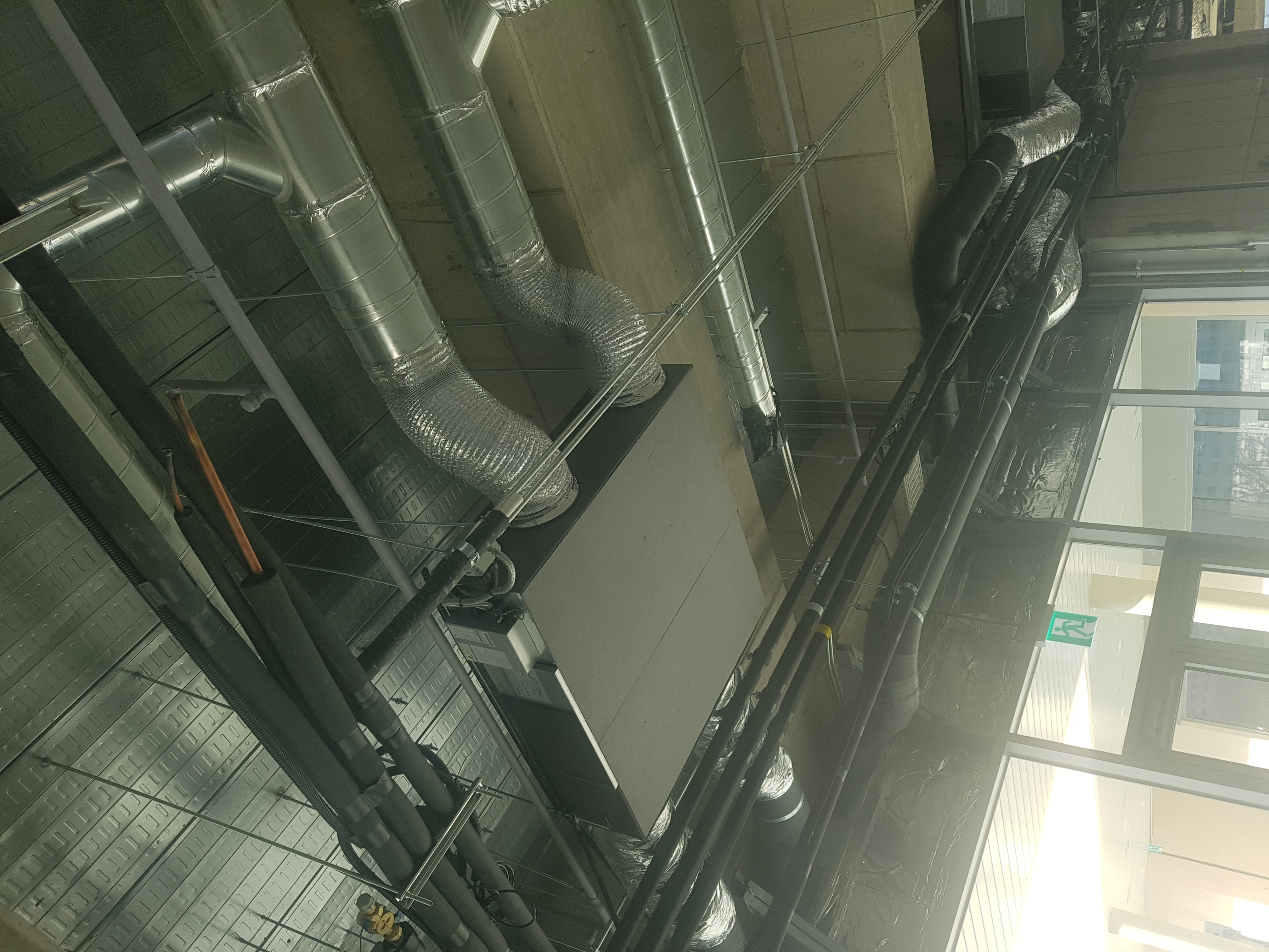 �����̹���